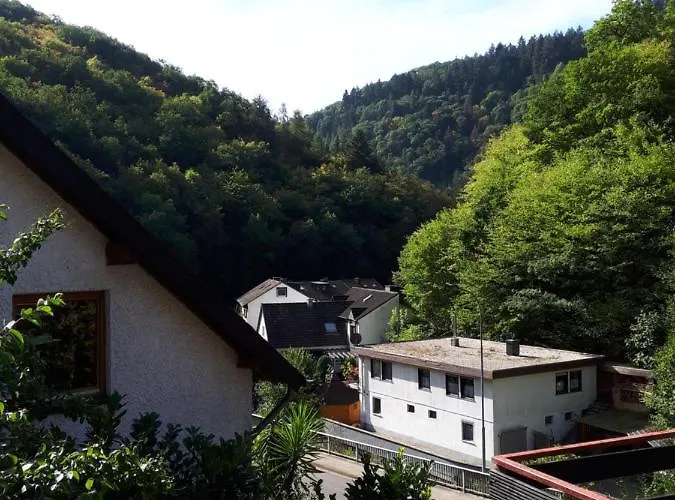 Haus Am Dekernbach Bed and Breakfast Κόχεμ