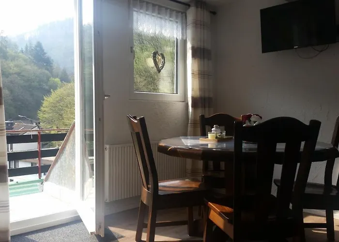 Haus Am Dekernbach 3* Κόχεμ